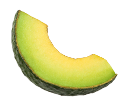Avocado2